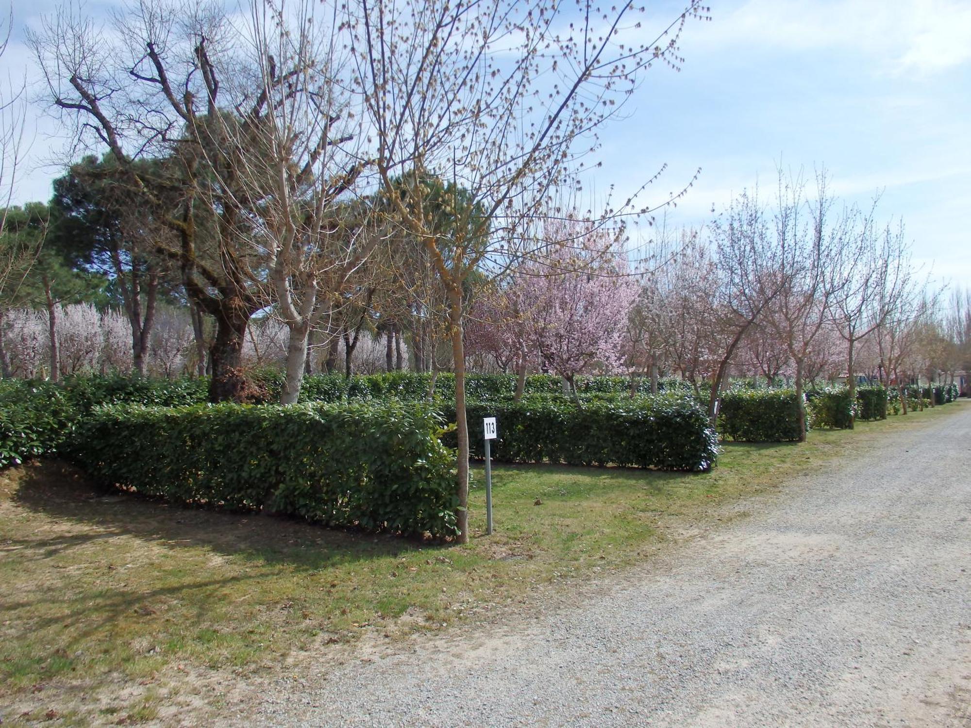 Camping Village La Chiocciola Capannole ภายนอก รูปภาพ